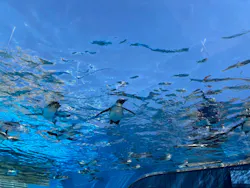 サンシャイン水族館に投稿された画像（2026/4/8）