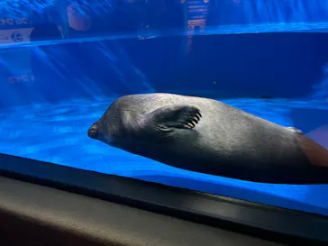 サンシャイン水族館に投稿された画像（2026/4/8）