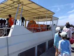 Sea World（シーワールド）に投稿された画像（2026/4/8）