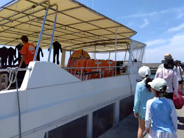 Sea World（シーワールド）に投稿された画像（2026/4/8）