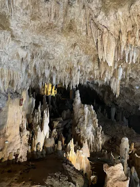 石垣島鍾乳洞に投稿された画像（2026/4/8）