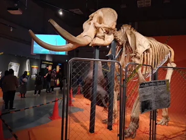 特別展「超危険生物展　科学で挑む生き物の本気」に投稿された画像（2026/4/8）