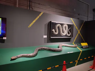 特別展「超危険生物展　科学で挑む生き物の本気」に投稿された画像（2026/4/8）