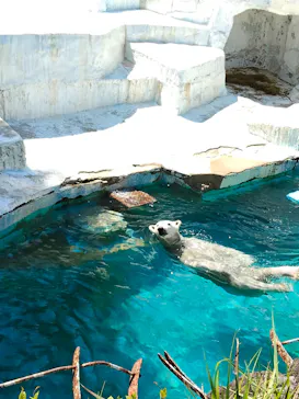 天王寺動物園に投稿された画像（2026/4/8）