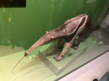特別展「超危険生物展　科学で挑む生き物の本気」に投稿された画像（2026/4/8）