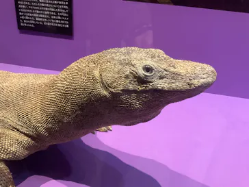 特別展「超危険生物展　科学で挑む生き物の本気」に投稿された画像（2026/4/8）