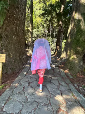 大門坂茶屋に投稿された画像（2026/4/8）