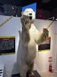 特別展「超危険生物展　科学で挑む生き物の本気」に投稿された画像（2026/4/8）