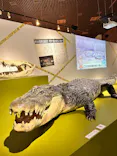 特別展「超危険生物展　科学で挑む生き物の本気」に投稿された画像（2026/4/8）