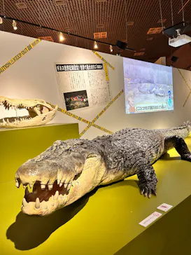 特別展「超危険生物展　科学で挑む生き物の本気」に投稿された画像（2026/4/8）