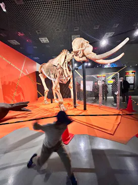 特別展「超危険生物展　科学で挑む生き物の本気」に投稿された画像（2026/4/8）