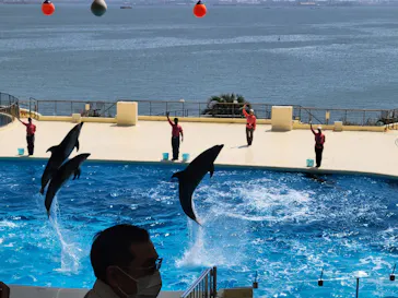マリンワールド海の中道に投稿された画像（2026/4/8）