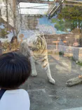 東武動物公園に投稿された画像（2026/4/8）