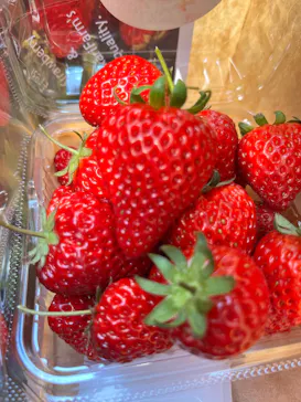 山万ユーカリファームに投稿された画像（2026/4/8）