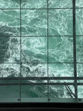 徳島県立 渦の道に投稿された画像（2026/4/8）