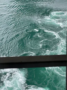 徳島県立 渦の道に投稿された画像（2026/4/8）