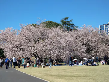 新宿御苑に投稿された画像（2026/4/8）