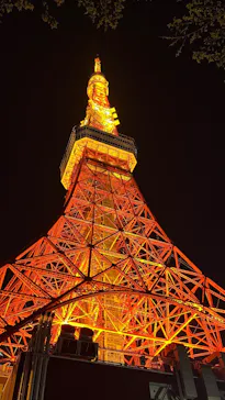 東京タワーに投稿された画像（2026/4/8）