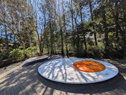 彫刻の森美術館に投稿された画像（2026/4/8）