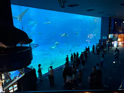 沖縄美ら海水族館に投稿された画像（2026/4/8）