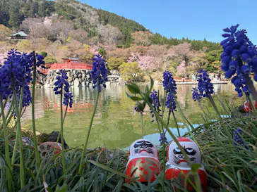 勝尾寺に投稿された画像（2026/4/8）