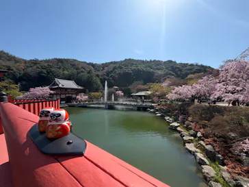 勝尾寺に投稿された画像（2026/4/8）