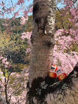 勝尾寺に投稿された画像（2026/4/8）