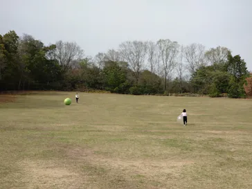 おもちゃ王国（岡山）に投稿された画像（2026/4/8）