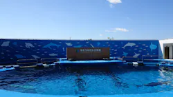 仙台うみの杜水族館に投稿された画像（2026/4/8）
