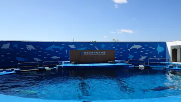 仙台うみの杜水族館に投稿された画像（2026/4/8）