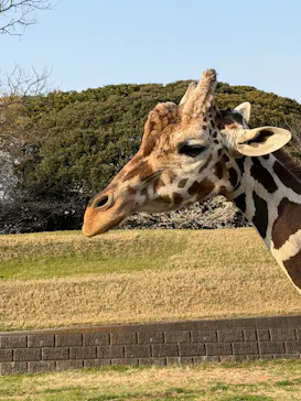 千葉市動物公園に投稿された画像（2026/4/8）