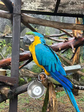 伊豆シャボテン動物公園に投稿された画像（2026/4/9）