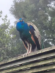 伊豆シャボテン動物公園に投稿された画像（2026/4/9）