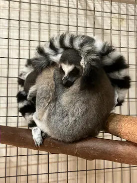 伊豆シャボテン動物公園に投稿された画像（2026/4/9）