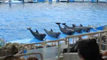 名古屋港水族館に投稿された画像（2026/4/9）