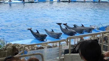 名古屋港水族館に投稿された画像（2026/4/9）