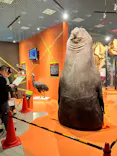 特別展「超危険生物展　科学で挑む生き物の本気」に投稿された画像（2026/4/9）