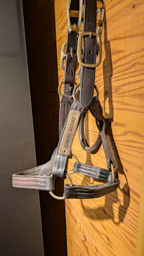 ノーザンホースパークに投稿された画像（2026/4/9）