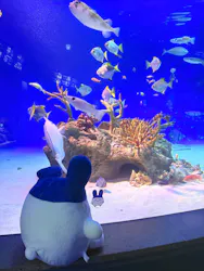 新江ノ島水族館に投稿された画像（2026/4/9）