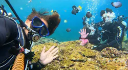 青の洞窟専門店　沖縄ダイビングショップ和に投稿された画像（2026/4/9）