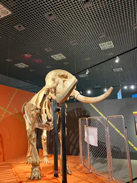 特別展「超危険生物展　科学で挑む生き物の本気」に投稿された画像（2026/4/9）