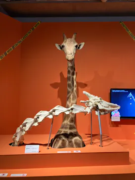 特別展「超危険生物展　科学で挑む生き物の本気」に投稿された画像（2026/4/9）