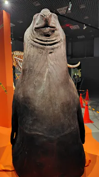 特別展「超危険生物展　科学で挑む生き物の本気」に投稿された画像（2026/4/9）