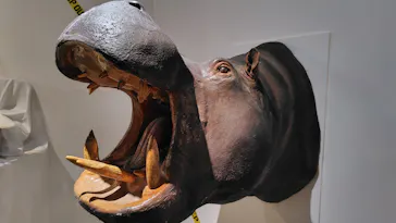 特別展「超危険生物展　科学で挑む生き物の本気」に投稿された画像（2026/4/9）