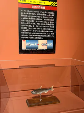 特別展「超危険生物展　科学で挑む生き物の本気」に投稿された画像（2026/4/9）