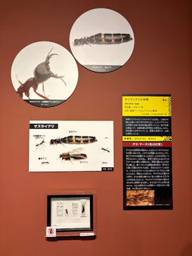 特別展「超危険生物展　科学で挑む生き物の本気」に投稿された画像（2026/4/9）