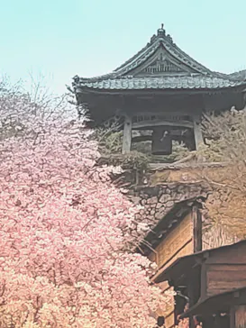 勝尾寺に投稿された画像（2026/4/9）