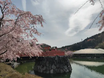勝尾寺に投稿された画像（2026/4/9）
