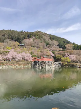 勝尾寺に投稿された画像（2026/4/9）