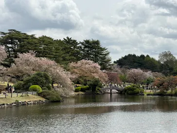 新宿御苑に投稿された画像（2026/4/9）